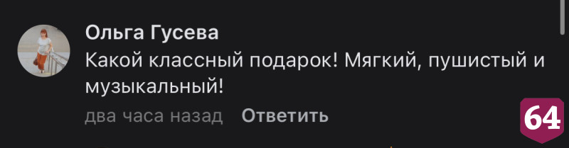 Пользователей соцсети восхитил кот на полке магазина в Саратове