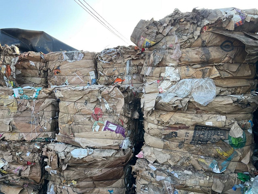 В Саратовской области отбор макулатуры позволил спасти от вырубки примерно 8 га леса