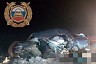 Три человека погибли в ДТП под Саратовом