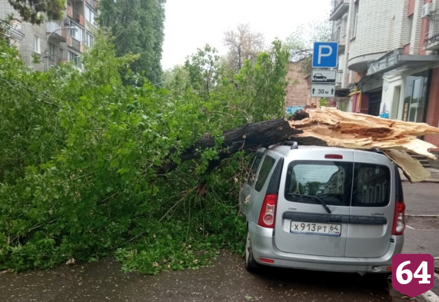В центре Саратова дерево упало на машины и перегородило дорогу 