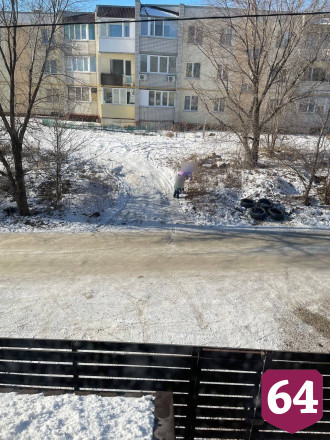 Саратовцев попросили не кормить бездомных собак возле чужих подъездов