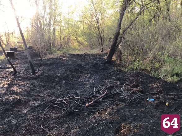 Под Саратовом пасечник погиб при возгорании ульев