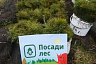 Cаратовские школьники могут подарить педагогам лес ко Дню учителя