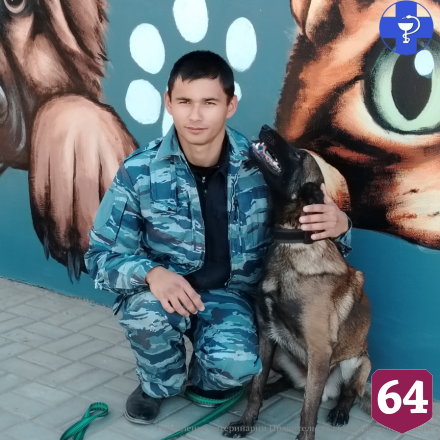 Полицейская овчарка пришла на вакцинацию к саратовским ветеринарам