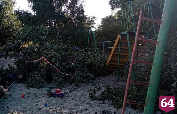 В Саратове дерево рухнуло на детскую площадку 