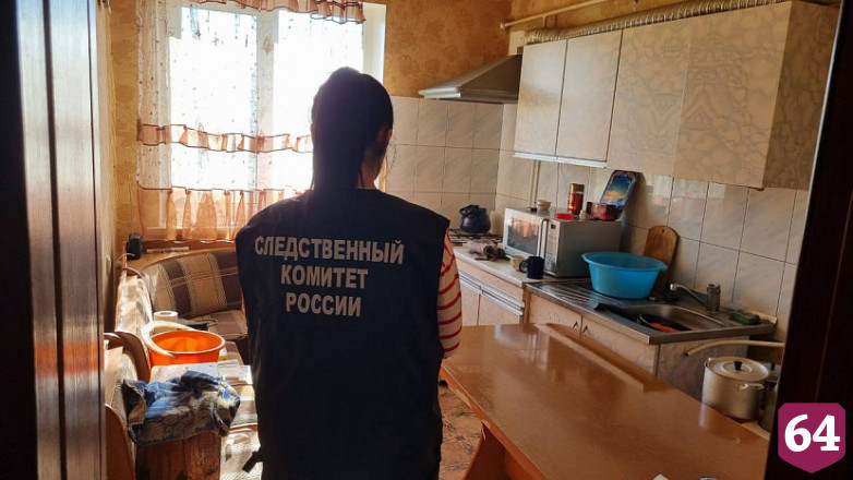 Саратовец раскаялся в убийстве матери в пьяной ссоре