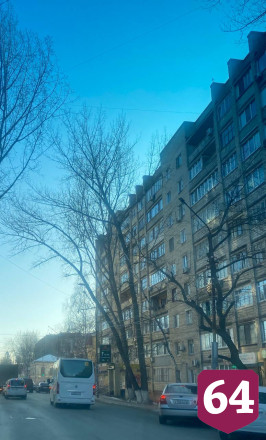 Жители Энгельса опасаются падения дерева на дорогу