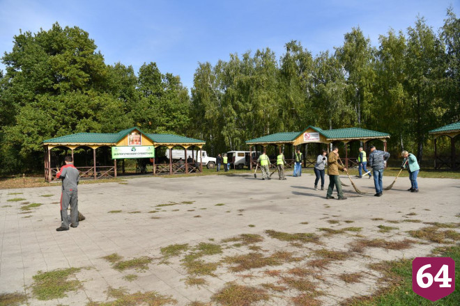 Саратовцы похвастались губернатору грибами на Кумысной поляне