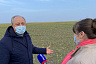 Саратовского губернатора поразили поля цветущих тюльпанов 