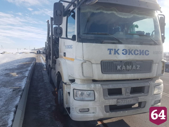 На трассе под Саратовом автовоз задавил косулю