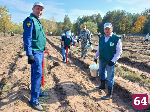 Участнице лесопосадочных работ под Саратовом вручили приз Росприроднадзора
