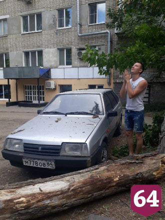 Поваленные сильным ветром деревья раздавили несколько автомобилей
