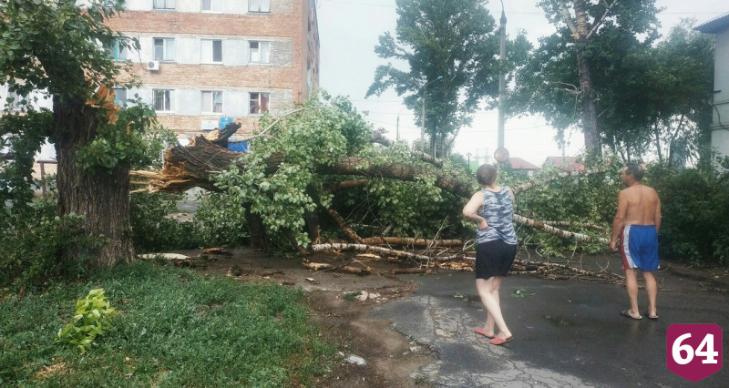 Ураган оставил без света 52 тысячи жителей Саратовской области