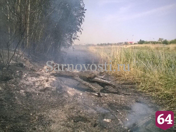 В Саратовской области из-за природного пожара едва не выгорело кладбище