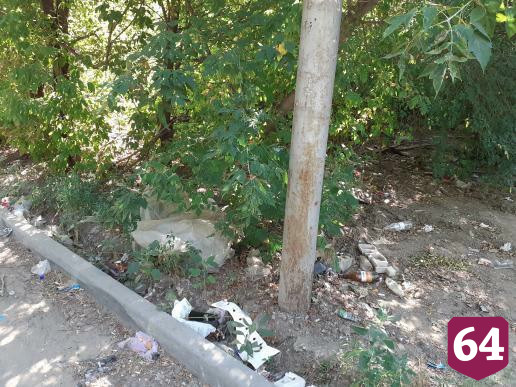 Саратовцы пожаловались на логово крыс в свалке отходов