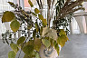 Саратовский министр удивилась осеннему сюрпризу на даче