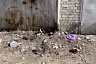 В Саратове пенсионер расстрелял собак на глазах у детей