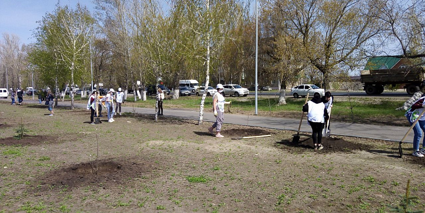 Участники акции «Сад памяти» высадили в Энгельсе 200 деревьев 