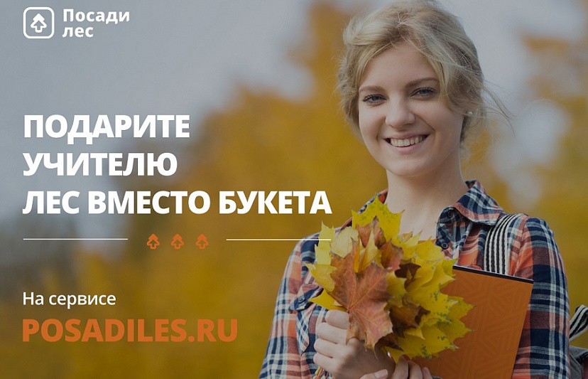 Cаратовские школьники могут подарить педагогам лес ко Дню учителя