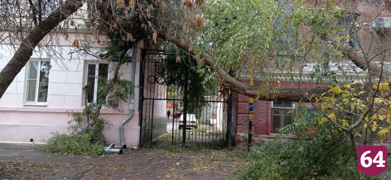 В Саратове упавшее на дом дерево повисло над тротуаром