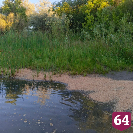 В саратовские охотхозяйства завозят летние деликатесы для зверей