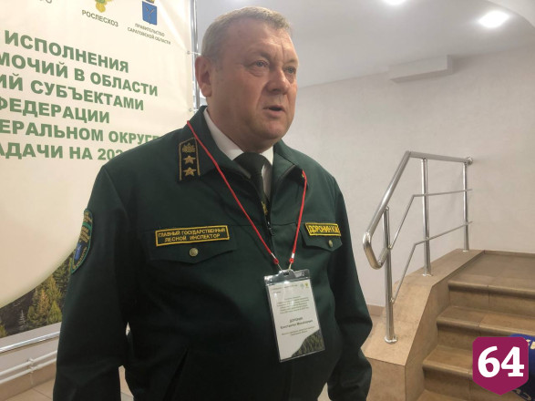 В Саратовской области непригодные земли отдадут под посадку новых лесов