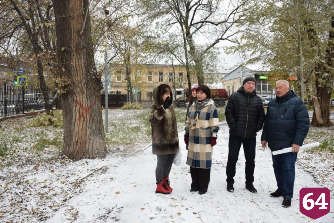 В Детском парке Саратова спилят 20 ветхих деревьев