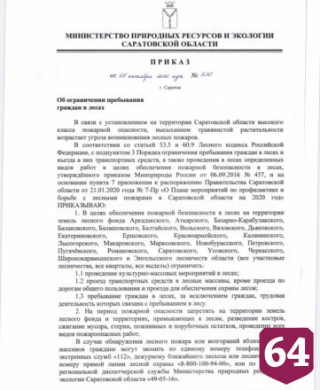 Саратовцам запретили ходить в лес до конца октября