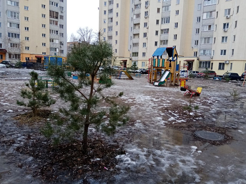 Саратовцев ждет оттепель с сильным ветром