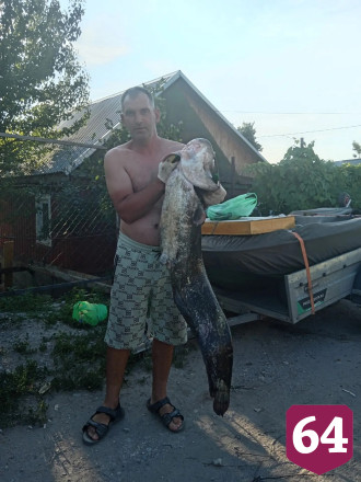 Саратовский рыбак поймал 23-килограммового сома и отпустил мелких