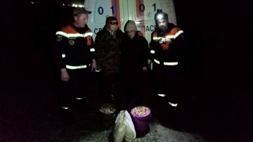 Женщины пошли за грибами и потерялись в лесу под Саратовом