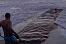 Жители Саратова празднуют Новый год купанием в Волге
