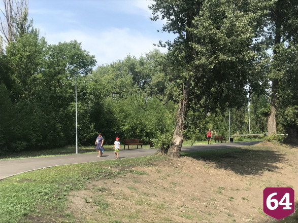 Под Саратовом жители зарыбили пруд и благоустроили берега