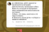 Саратовский кинолог озвучила правила поведения с бродячими собаками