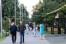 Жители Саратова вышли на вечернюю прогулку без масок