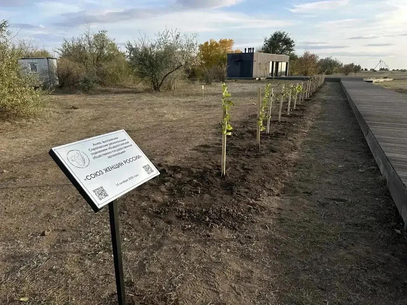 В Парке покорителей космоса заложили Аллею Совета женщин России