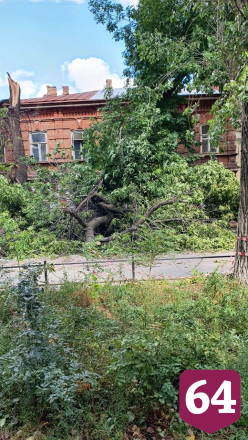 Дерево рухнуло на высоковольтные провода в центре Саратова 