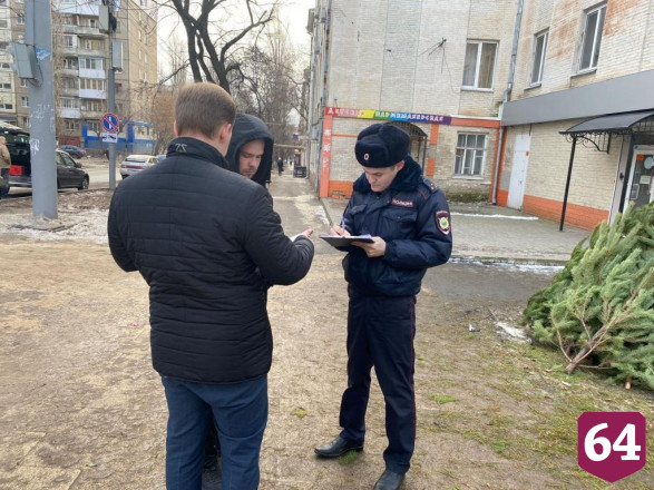 В Саратове выявили четыре незаконных елочных базара