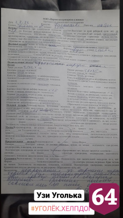 Жительница Саратова подобрала и выбросила щенка с 3-го этажа