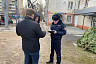 В Саратове выявили четыре незаконных елочных базара