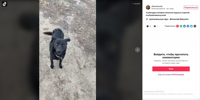 Саратовский силач зашел в TikTok с Бобиком
