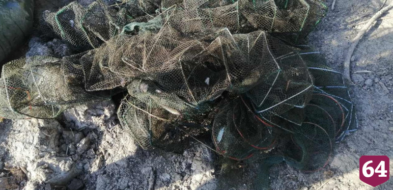 Саратовские браконьеры выловили 1234 рака и попались