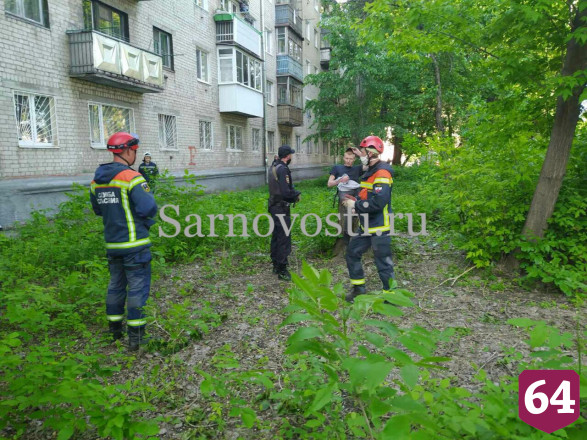 Спасатели уговорили нарушителя самоизоляции не прыгать с дерева 