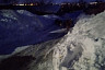 В Саратове стая собак напала на женщину с ребенком