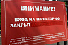 В Саратове владельцы собак игнорируют запрет на посещение парков 