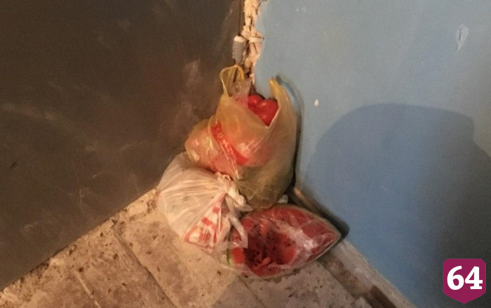 Захламившего дом саратовца приглашали на прием к психиатру