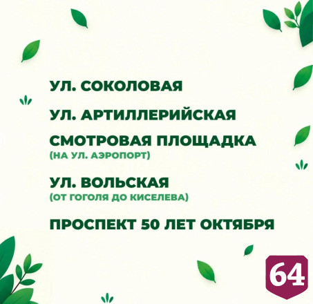 В Саратове высадят 300 крупномерных деревьев
