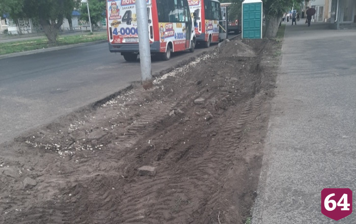 В Саратове незаконно спилили деревья ради парковки 