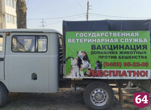 В Саратовской области стартовала бесплатная вакцинация от бешенства