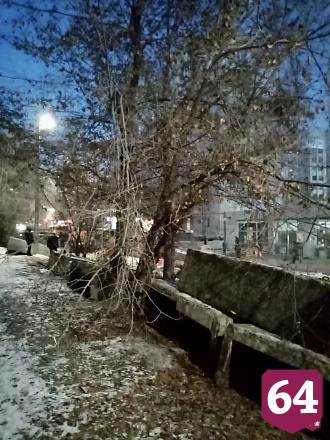Чиновники пообещали высадить новые деревья во 2-м Детском проезде
